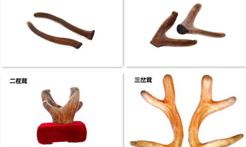 龙鹿胶囊是医保药吗-龙鹿胶囊属于医保药么网 - 网站提供龙鹿胶囊治疗弱精效果怎么样小常识、龙鹿胶囊可以治性功能障碍吗