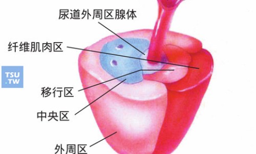 龙鹿胶囊 含西药-龙鹿胶囊属于医保药么网 - 网站提供龙鹿胶囊治疗弱精效果怎么样小常识、龙鹿胶囊可以治性功能障碍吗
